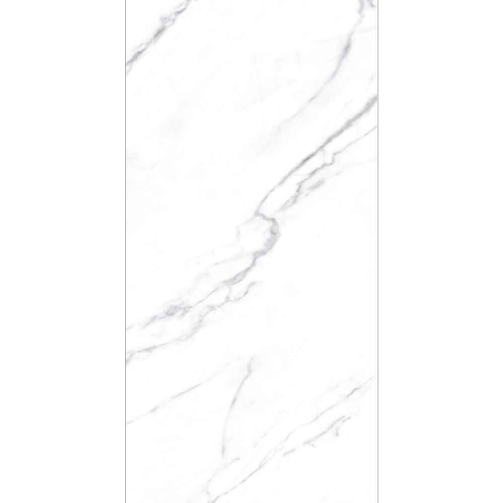 STATUARIO GREY GLOSSY 60x120